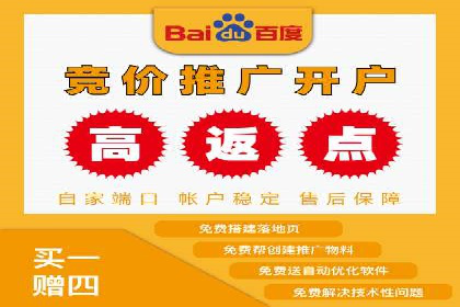 某行业sem竞价托管成功案例：精准投放的秘诀