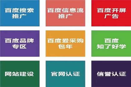 谷歌SEM广告策略：某电商平台的成功逆袭案例